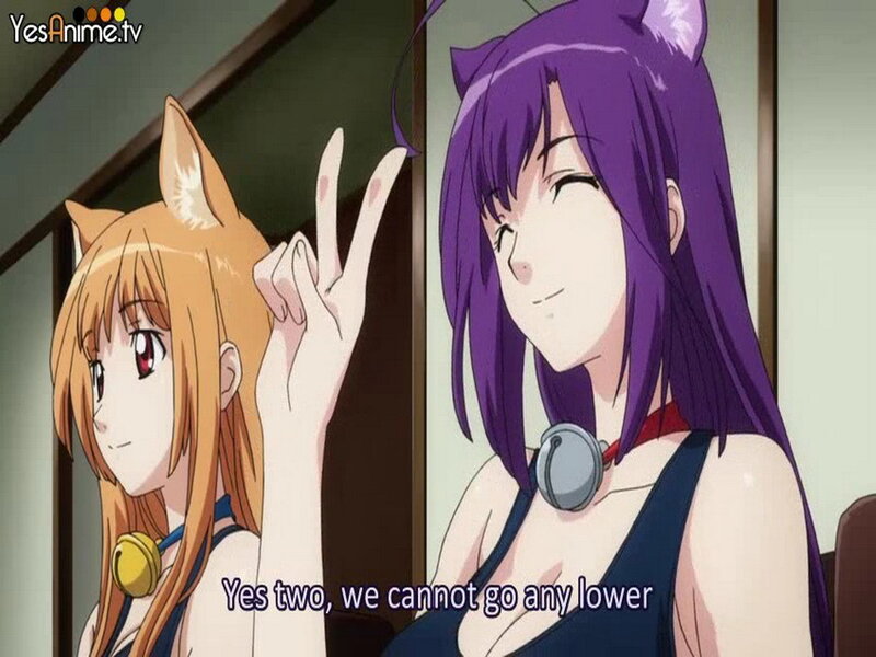 Two Anime Girls with Cat Ears — Purple