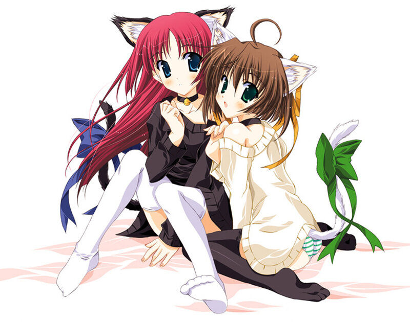 Two Anime Girls with Cat Ears — Red, Playful