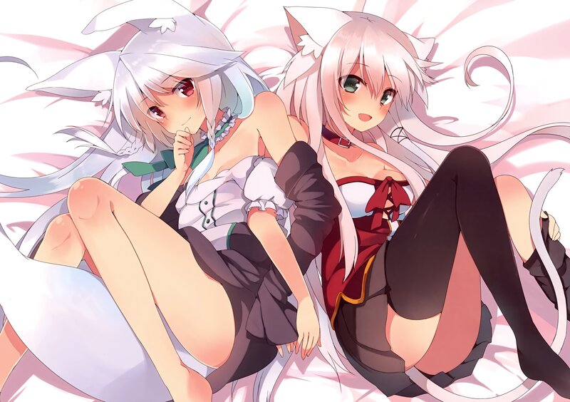 Two Anime Girls with Cat Ears — White, Playful, Cat Ears, Tails