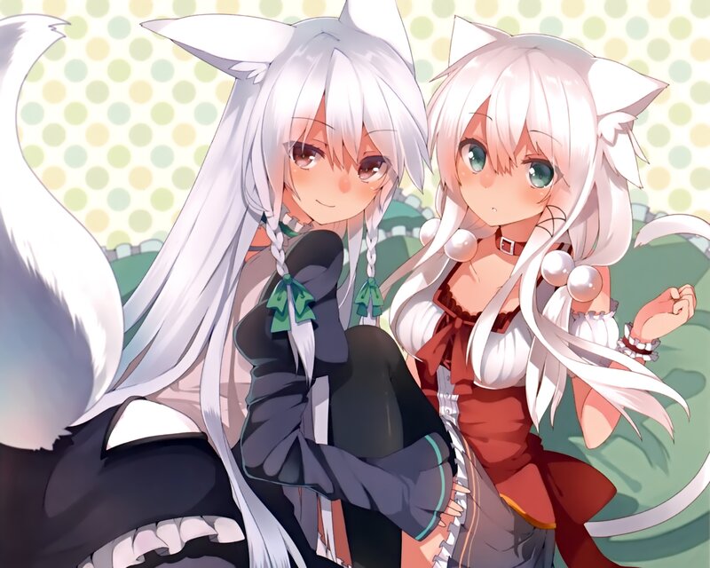 Two Anime Girls with Cat Ears — White, Playful