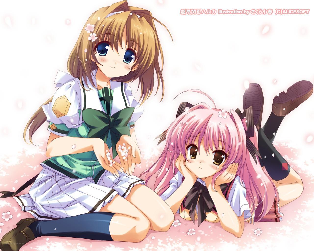 Two anime girls with cherry blossoms