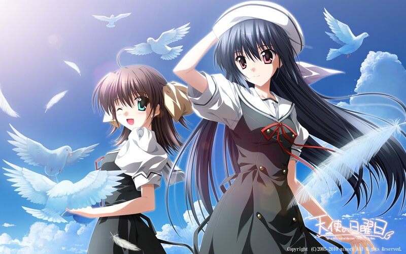 Two Anime Girls with Doves