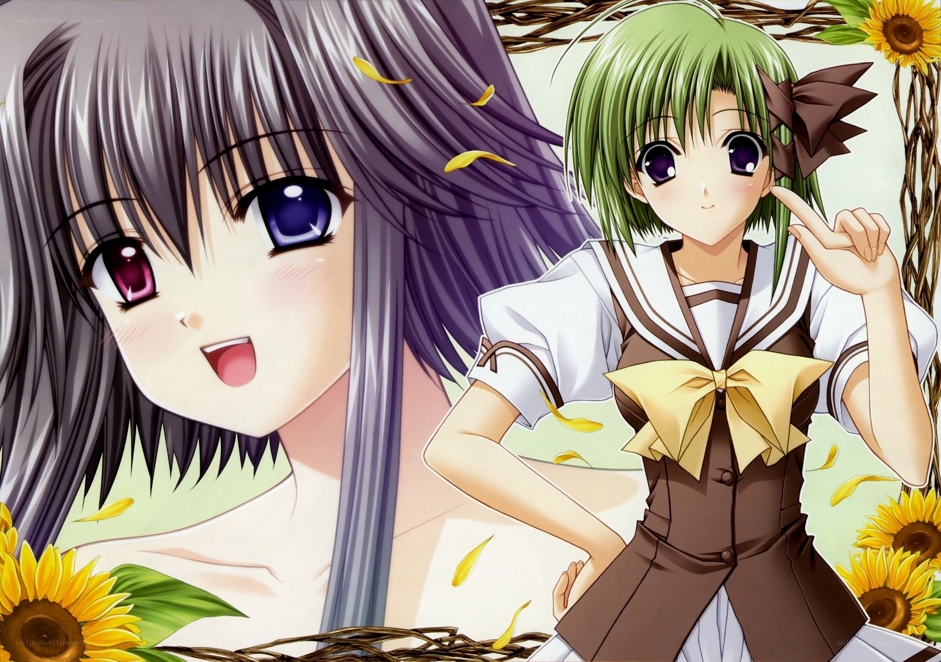 Two anime girls with sunflowers