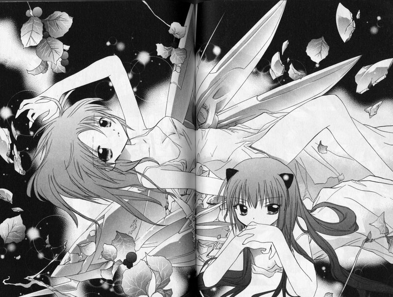 Two Anime Girls with Wings — Black, Dramatic, Night