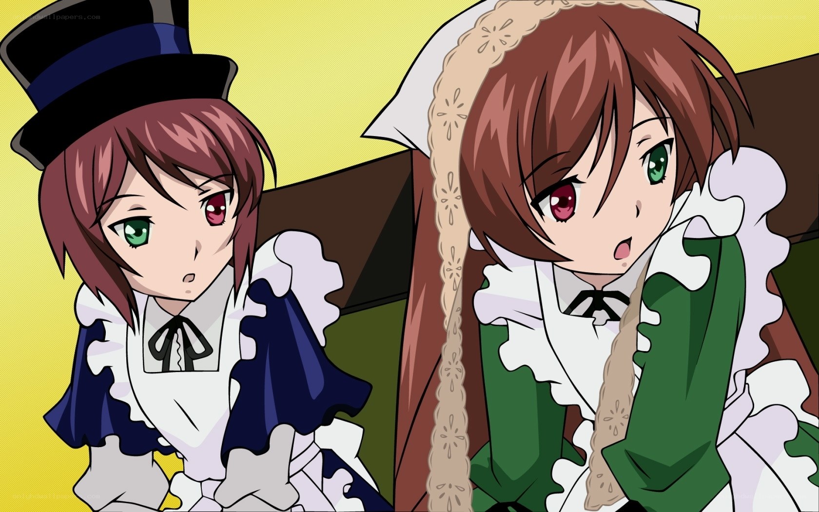 two anime maids in costumes