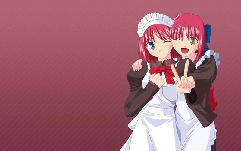 two anime maids posing