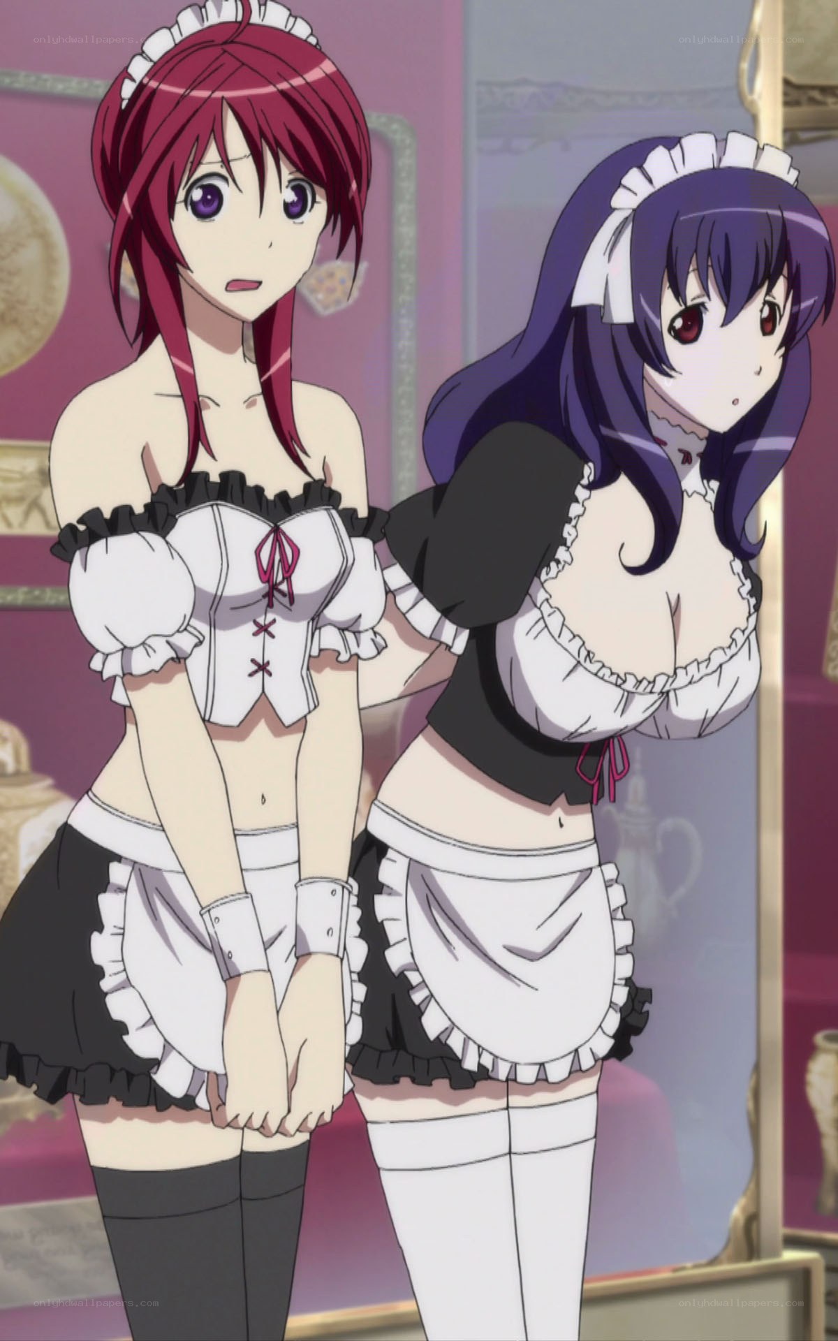 two anime maids standing