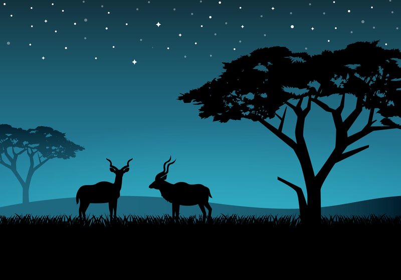 Two Antelopes at Night