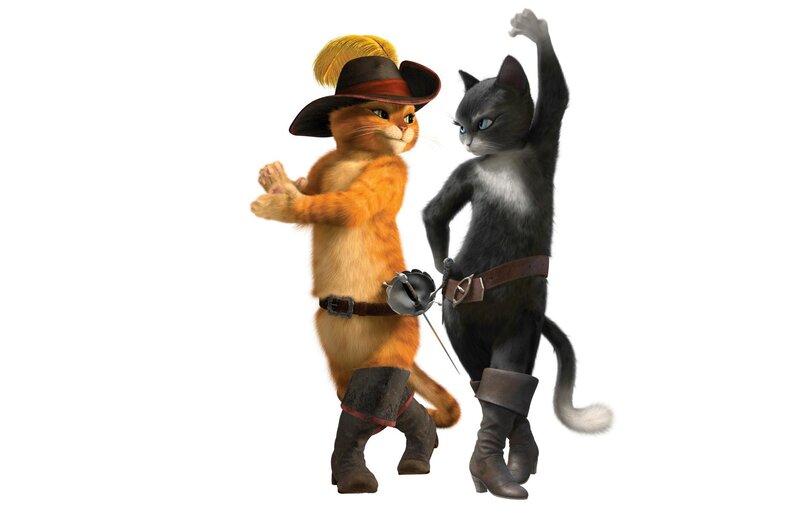 Two Anthropomorphic Cats — Orange
