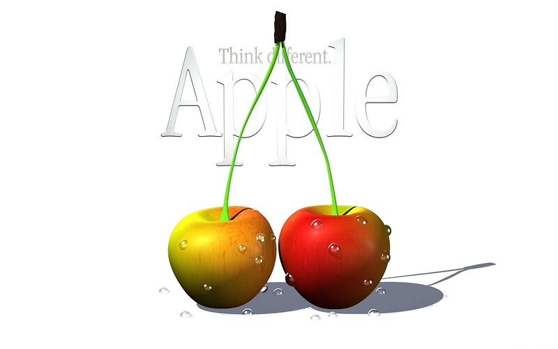 Two Apples on Stems