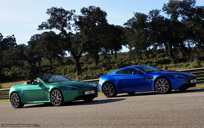 Two Aston Martin Cars — Blue, Serene