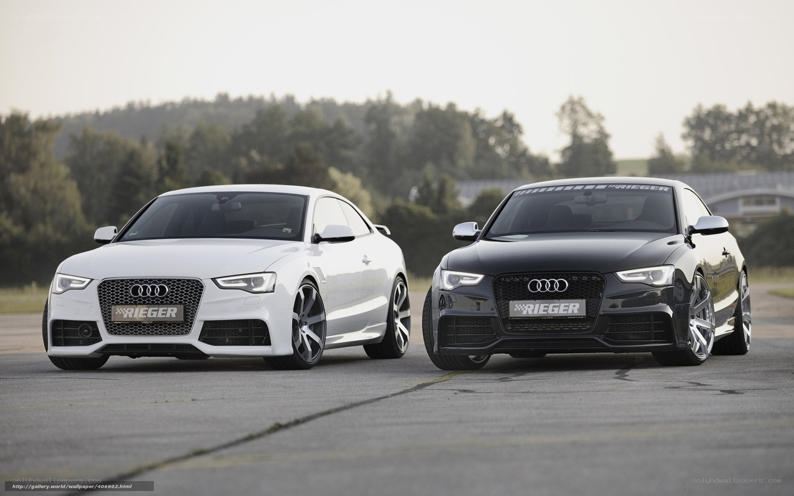 Two Audi cars on a track