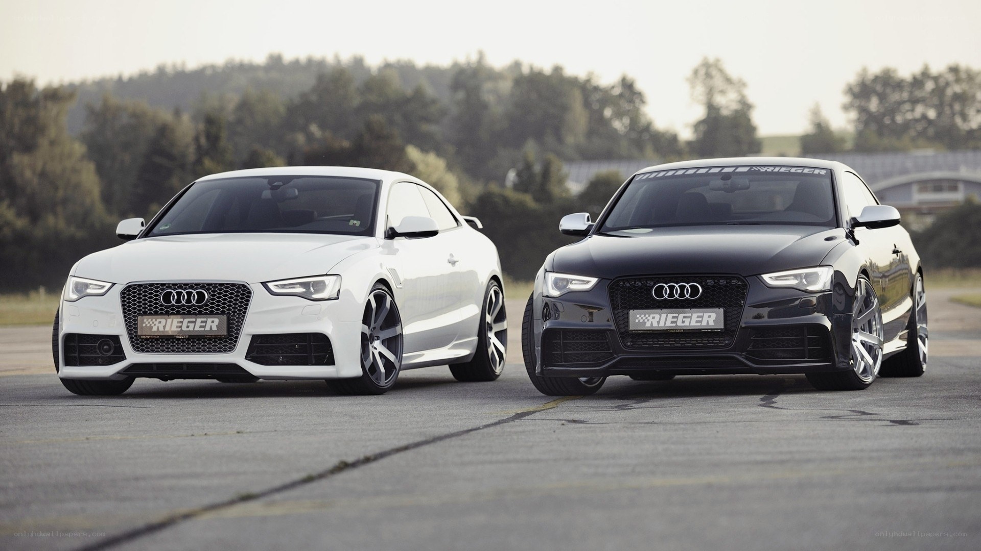 Two Audi cars on a track