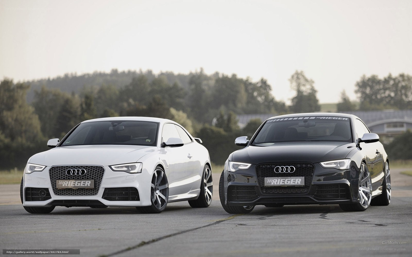 Two Audi cars on a track
