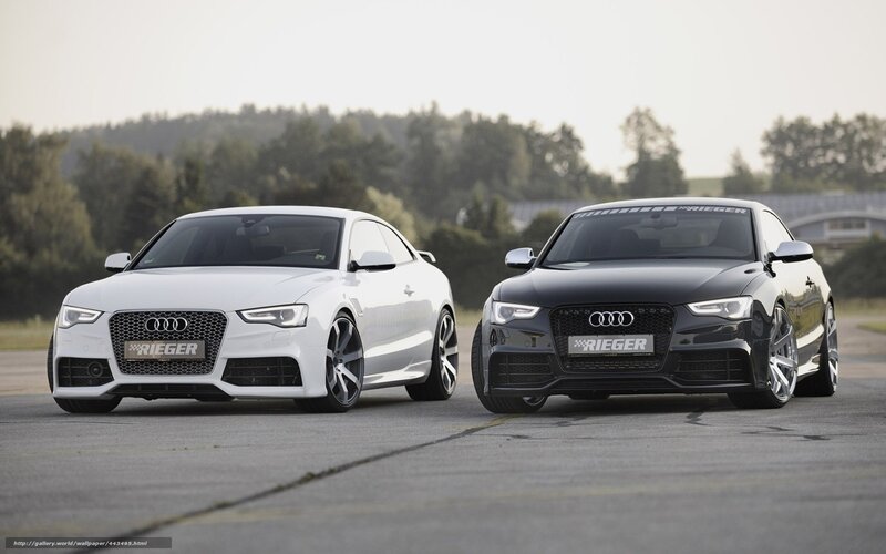 Two Audi Cars — White, Calm