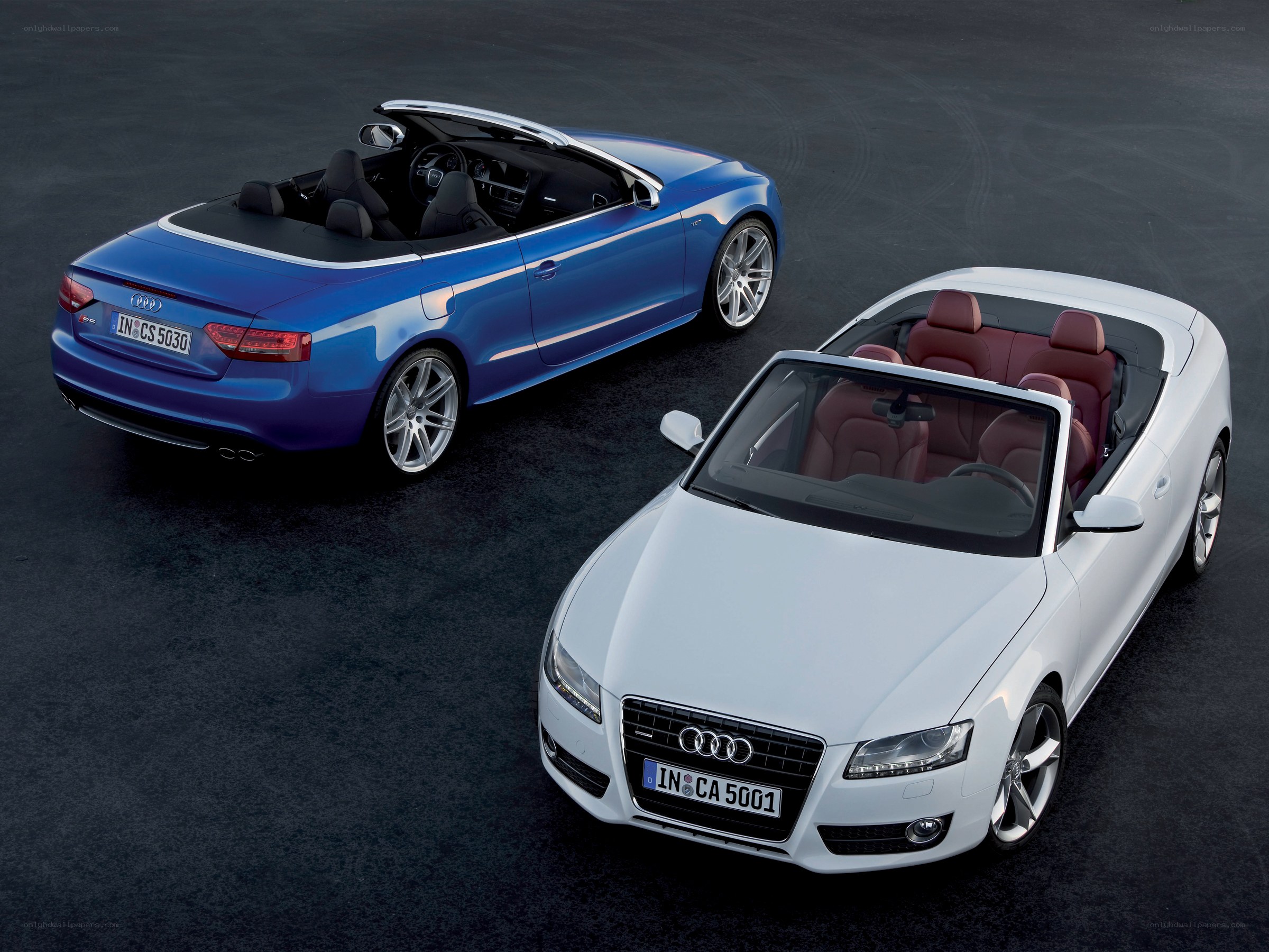 Two Audi convertibles on display