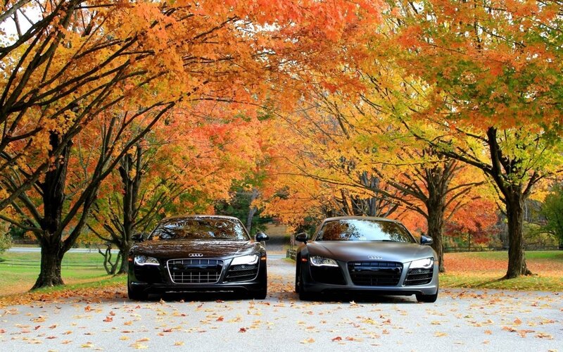 Two Audi R8 Cars