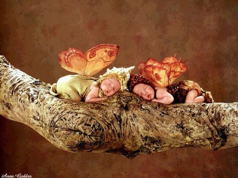 Two Babies as Fairies