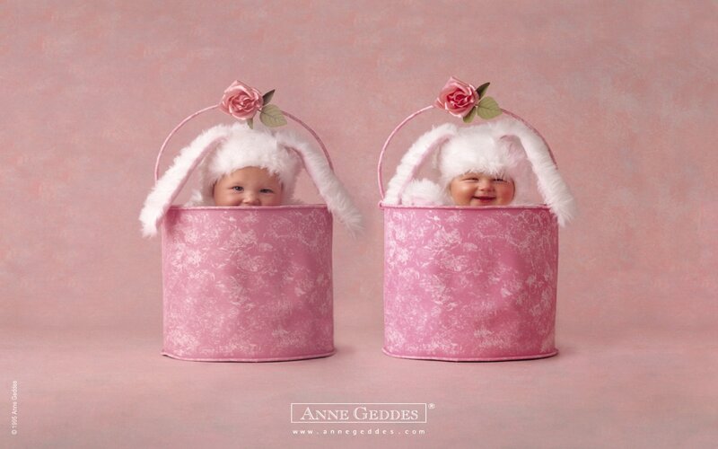 Two Babies in Baskets — Pink, Playful, Photograph, Hats, Roses