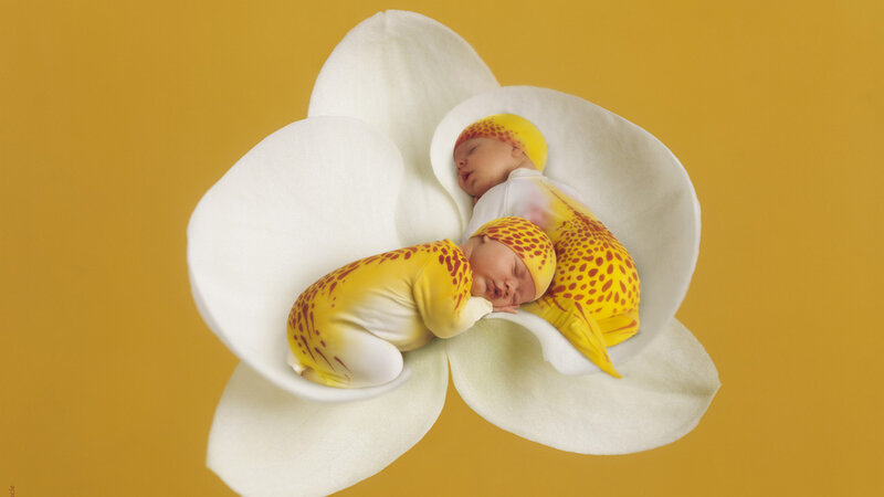 Two Babies in Flower