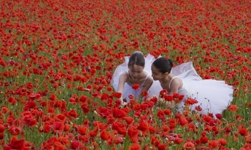 Two Ballerinas in Poppy Field