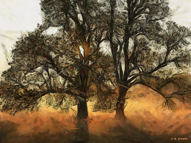 Two Bare Trees — Brown
