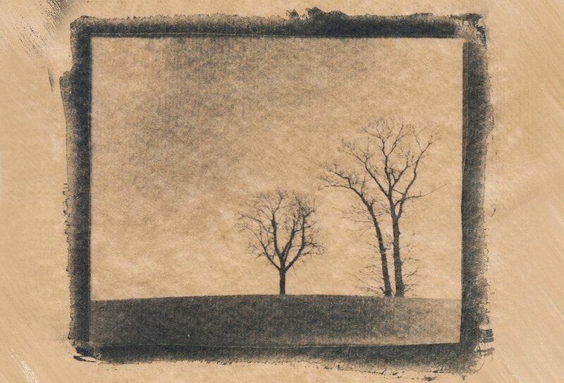 Two Bare Trees