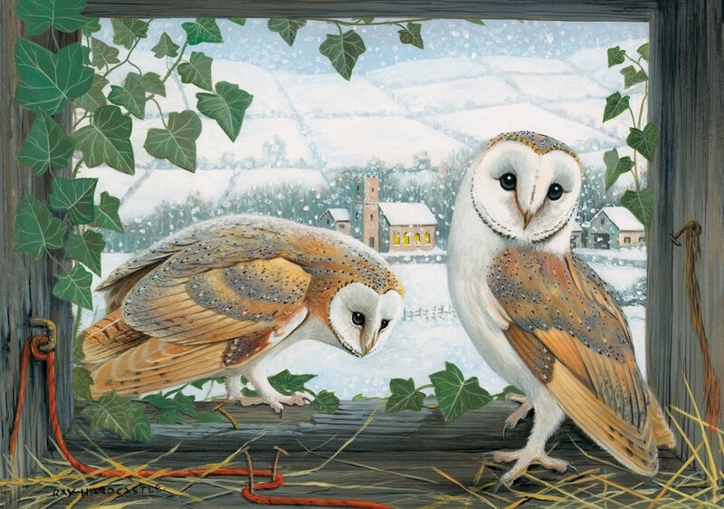 Two Barn Owls in Window