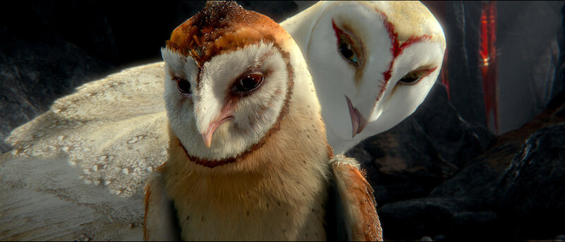 Two Barn Owls — White