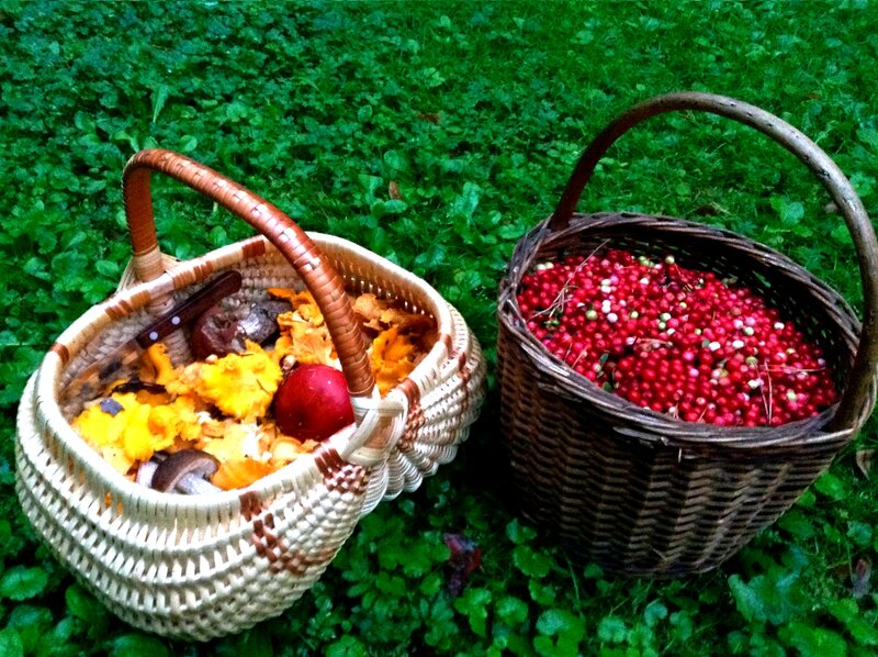 Two Baskets of Foraged Items