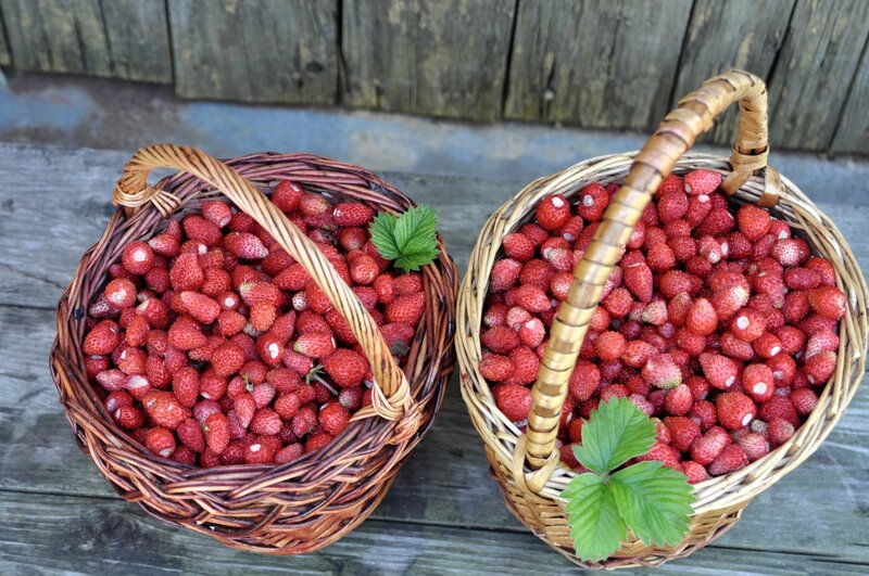 Two Baskets of Strawberries