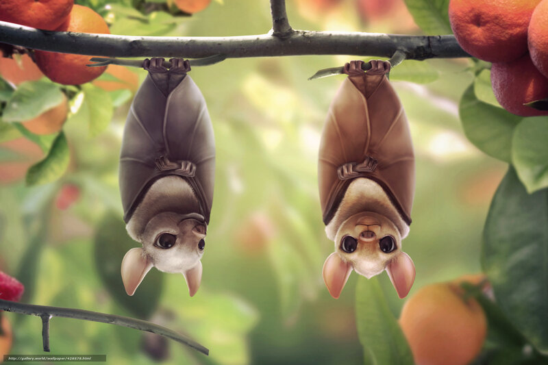 Two Bats Hanging — Green