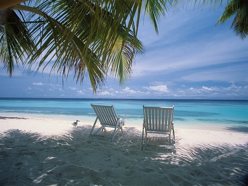 Two Beach Chairs on Sand — Blue, Serene, Afternoon, Photograph, Palm Tree