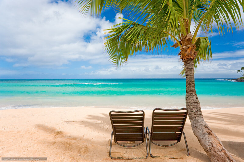 Two Beach Chairs under Palm
