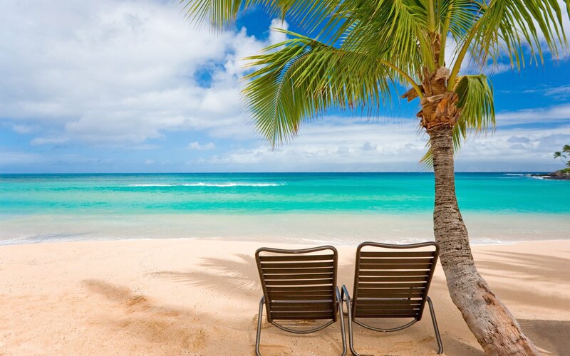 Two Beach Chairs under Palm Tree — Blue, Serene, Afternoon, Photograph