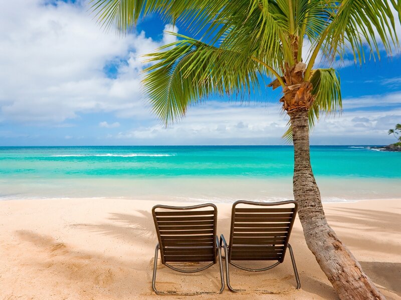 Two Beach Chairs under Palm Tree — Blue, Serene, Afternoon