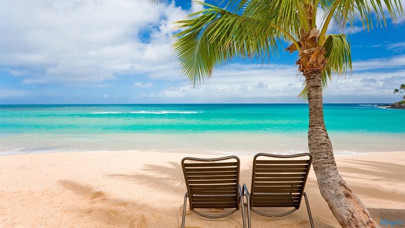 Two Beach Chairs under Palm Tree — Blue, Serene