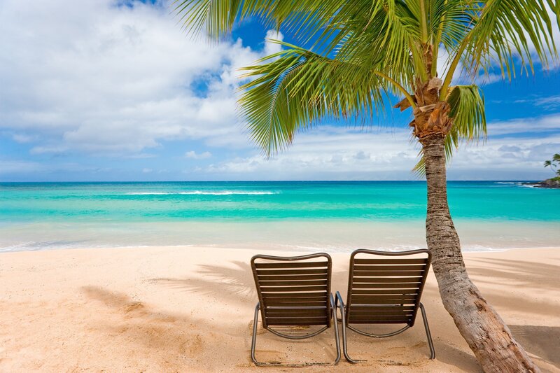 Two Beach Chairs under Palm Tree