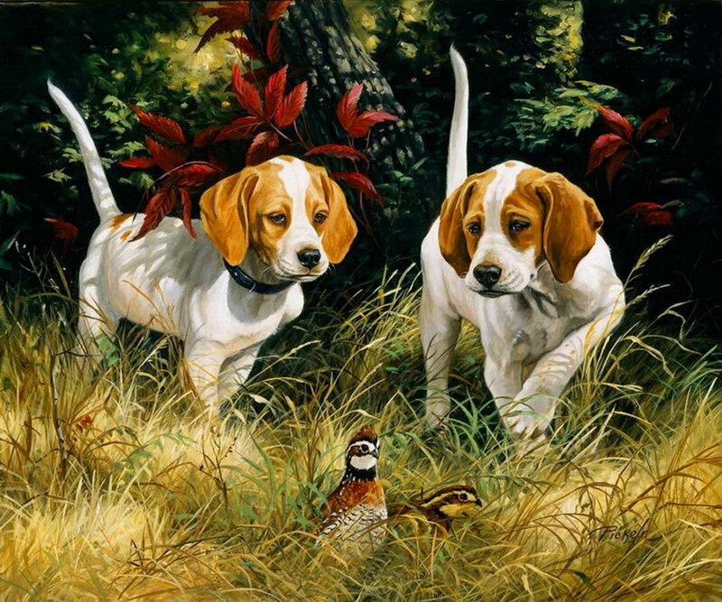 Two Beagle Puppies — White, Alert
