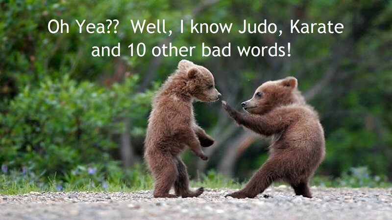 Two Bear Cubs — Brown, Playful