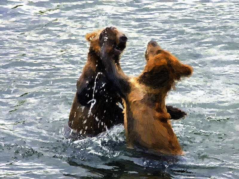 Two Bears Fighting — Brown, Dramatic