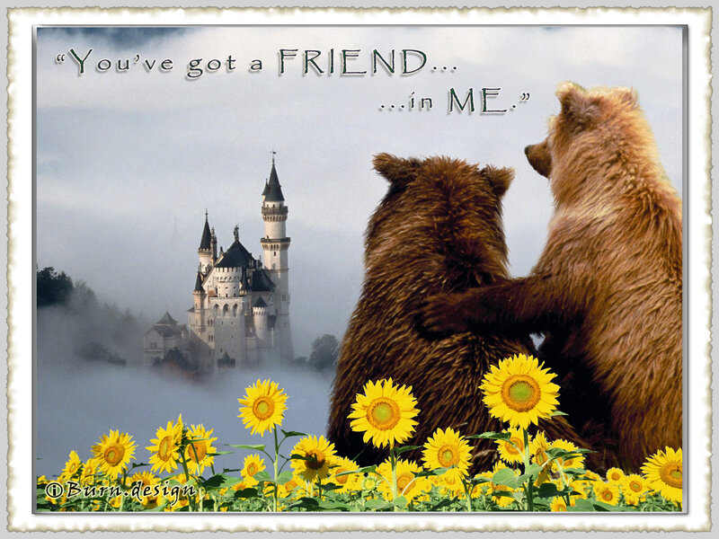 Two Bears in Field