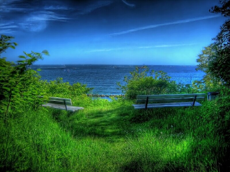Two Benches by the Sea