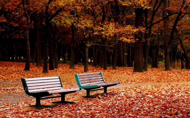Two Benches in Autumn — Orange