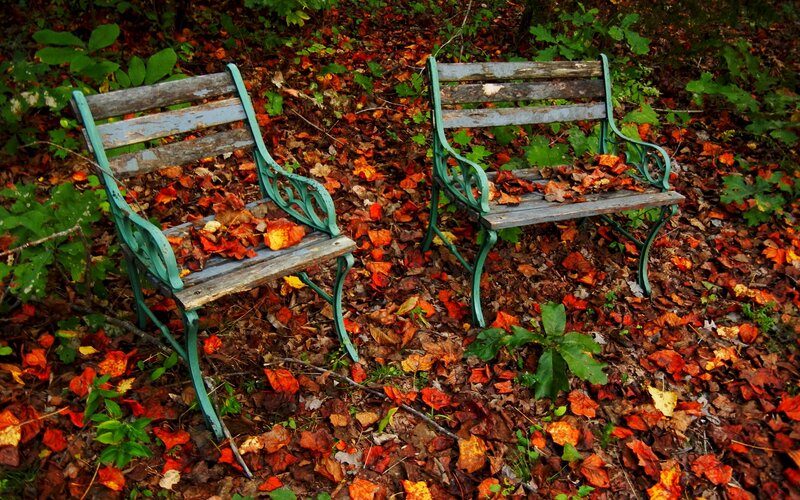 Two Benches in Autumn