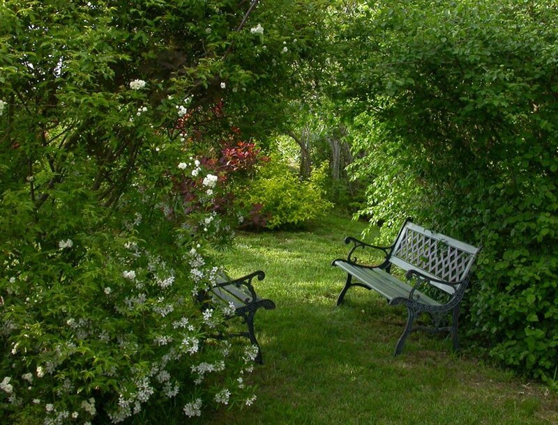 Two Benches in Garden