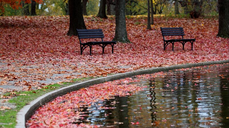 Two Benches in Park — Red
