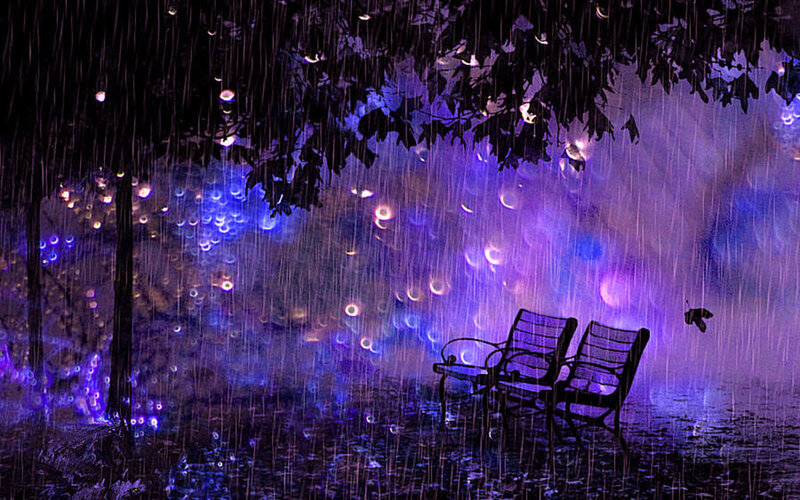 Two Benches in Rain