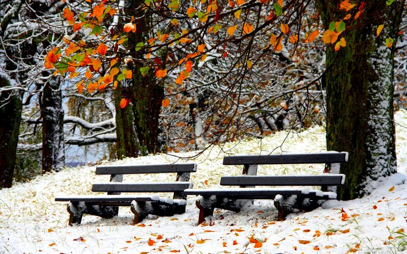 Two Benches in Snow