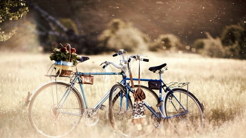 Two Bicycles in Field — Blue, Serene